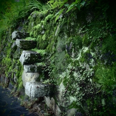 石垣の階段