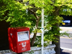 郵便ポストと新緑