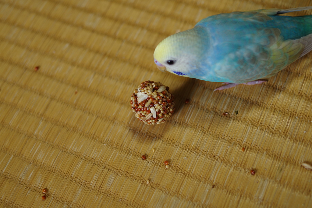 お気に入り♪