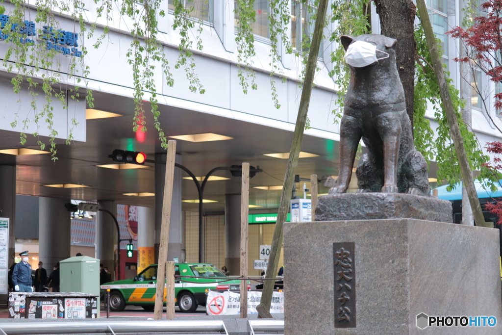 CANON9000D_EF55-250mm (1)