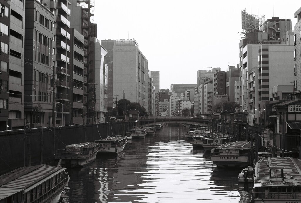 20200426_0502__CANON F-1_ACROS100 II (15