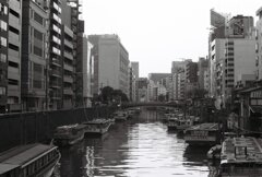 20200426_0502__CANON F-1_ACROS100 II (15