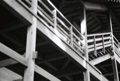 20200426_0502__CANON F-1_ACROS100 II (37