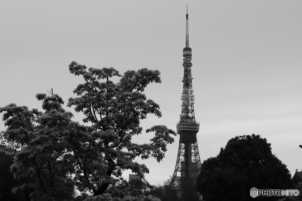 9000D_20200426 (29)