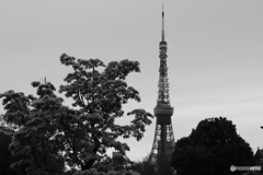 9000D_20200426 (29)