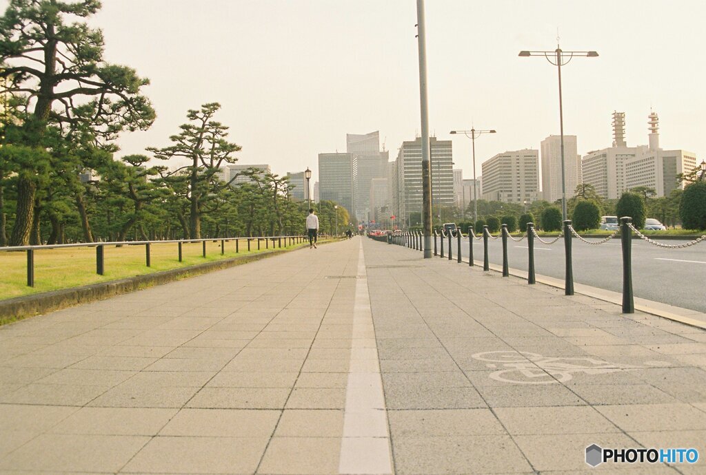 20200322_CANON F-1_フジカラー PRO400H (31)