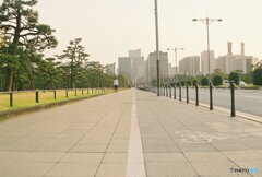 20200322_CANON F-1_フジカラー PRO400H (31)