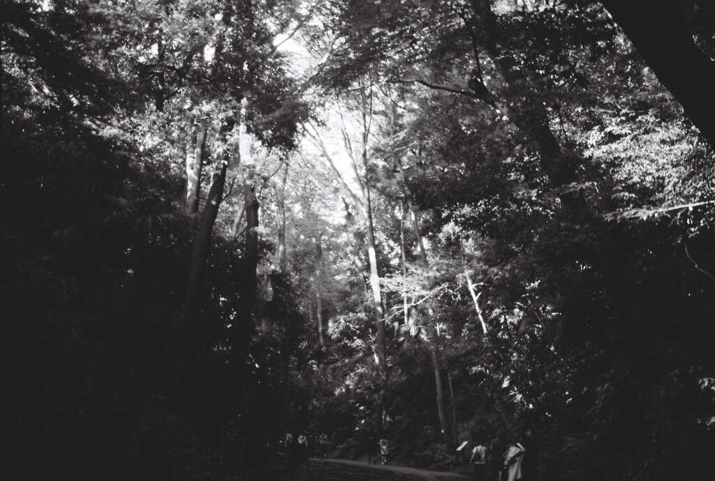 20200426_0502__CANON F-1_ACROS100 II (31
