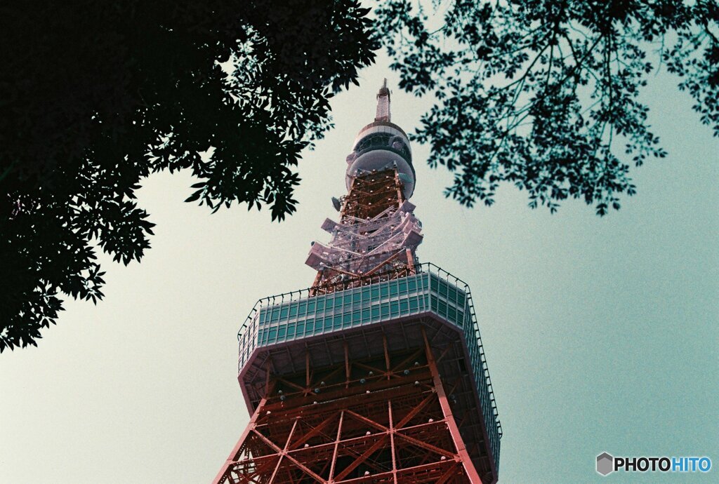 20200405_CANON F-1_2019LomochromePurple 