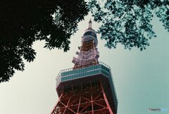 20200405_CANON F-1_2019LomochromePurple 