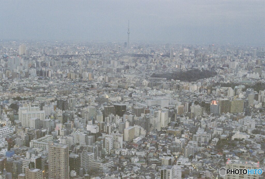 20200322_CANON F-1_フジカラー PRO400H (1)