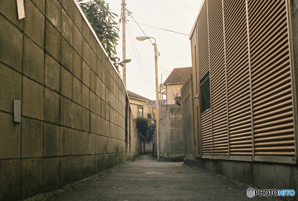 20200322_CANON F-1_フジカラー PRO400H (7)