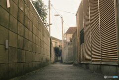 20200322_CANON F-1_フジカラー PRO400H (7)