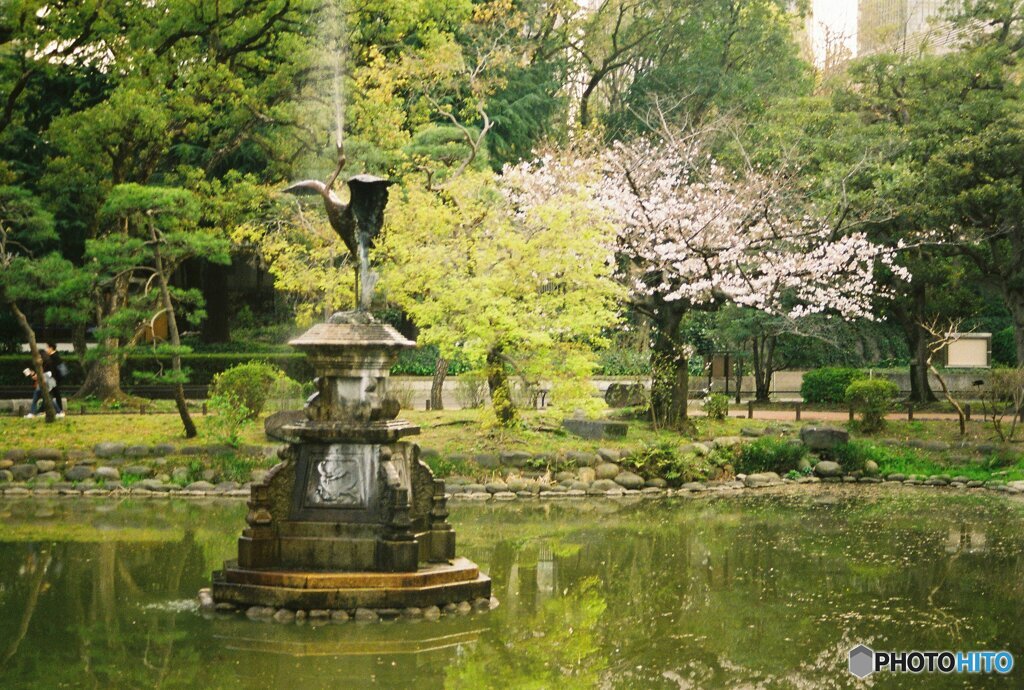 20200322_CANON F-1_フジカラー PRO400H (34)