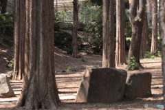 CANON9000D_EF50mm1,8F (10)