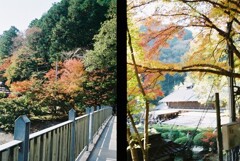 20191116_Olympus Pen EE-3_FUJIFILM200C_ 