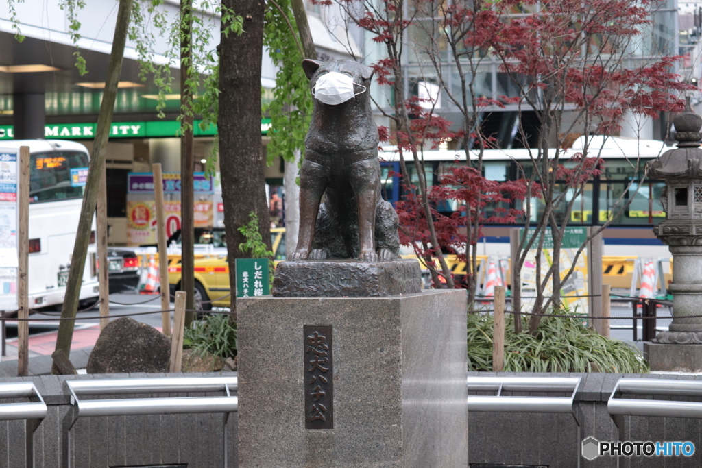 CANON9000D_EF55-250mm (6)