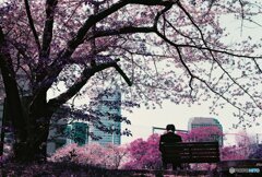 20200405_CANON F-1_2019LomochromePurple 