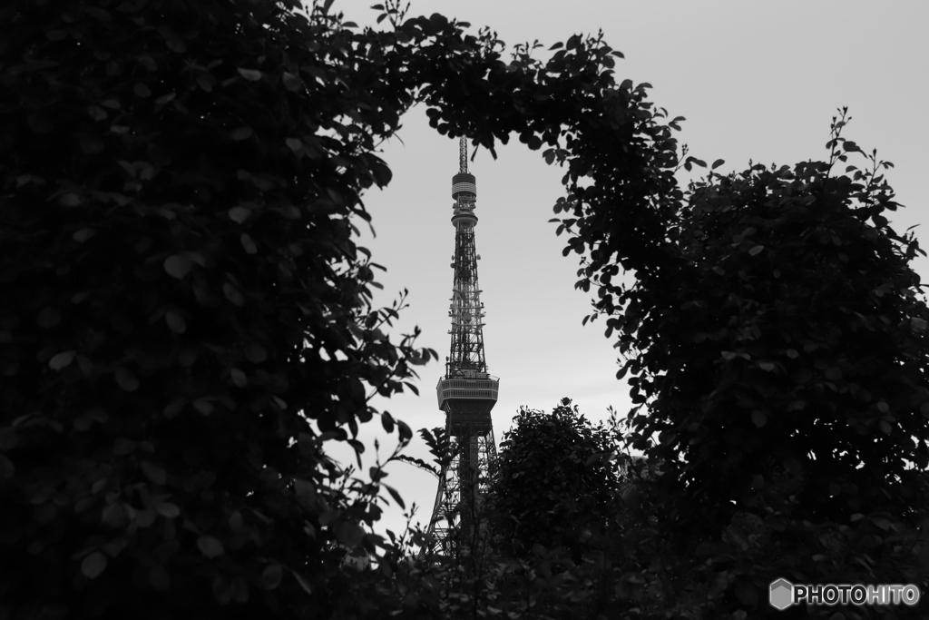 9000D_20200426 (28)