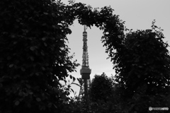 9000D_20200426 (28)