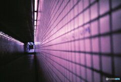 20200331_LC-A_Purple (2)