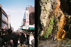 20191116_Olympus Pen EE-3_FUJIFILM200C_ 