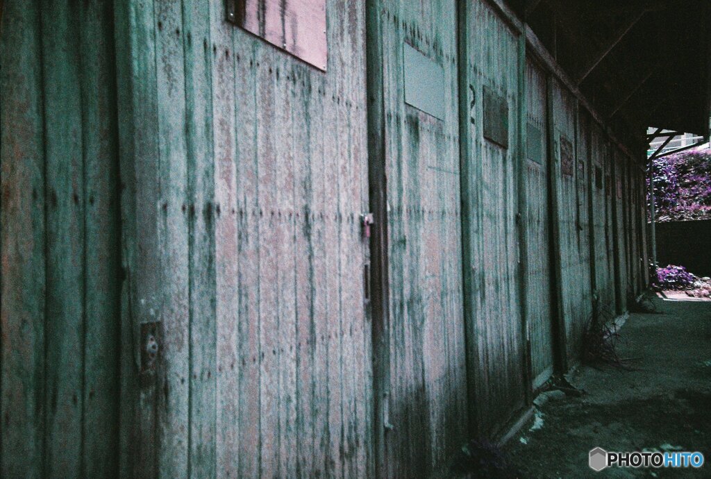 20200407_lomo_La-c+_2019LomochromePurple