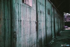 20200407_lomo_La-c+_2019LomochromePurple