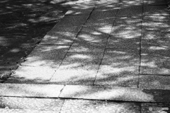 9000D_20200430 (15)