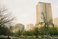 20200322_CANON F-1_フジカラー PRO400H (36)