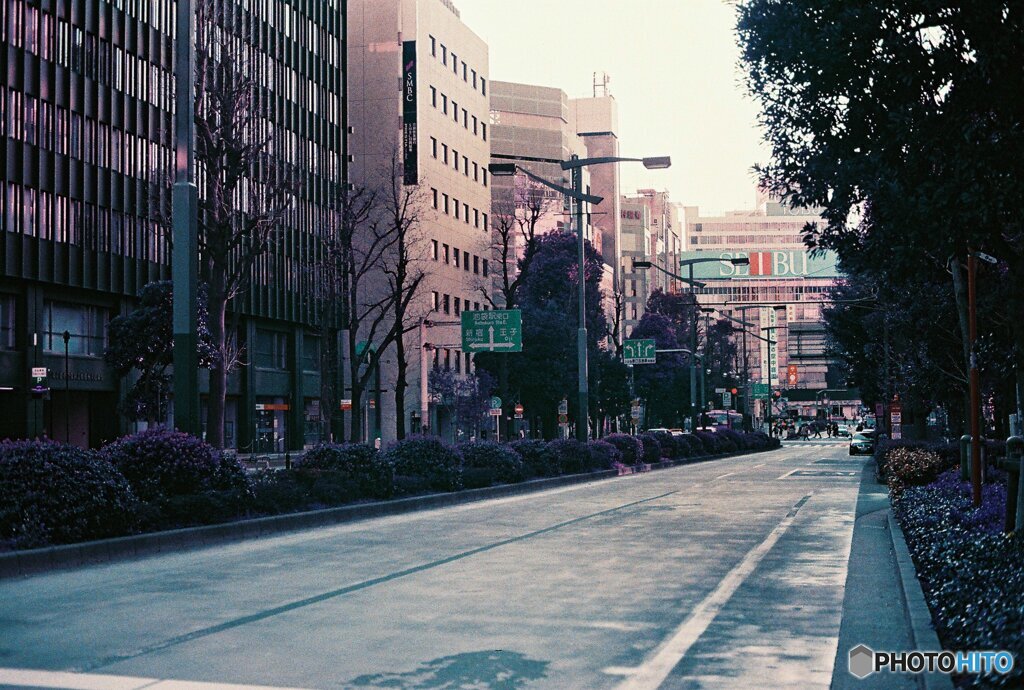 20200405_CANON F-1_2019LomochromePurple 