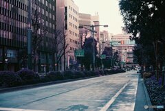 20200405_CANON F-1_2019LomochromePurple 