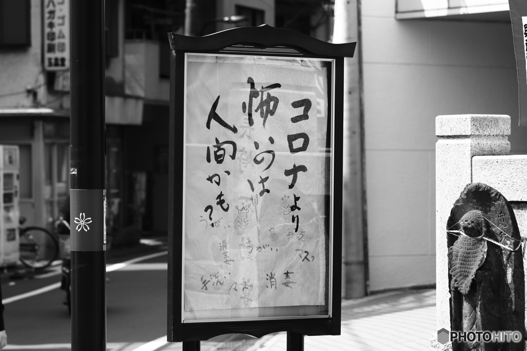9000D_20200430 (5)