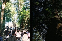 20191116_Olympus Pen EE-3_FUJIFILM200C_ 