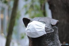 CANON9000D_EF55-250mm (8)