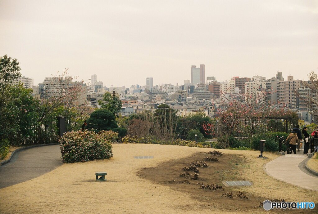 20200322_CANON F-1_フジカラー PRO400H (8)