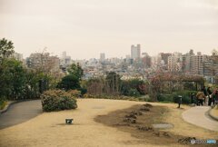 20200322_CANON F-1_フジカラー PRO400H (8)
