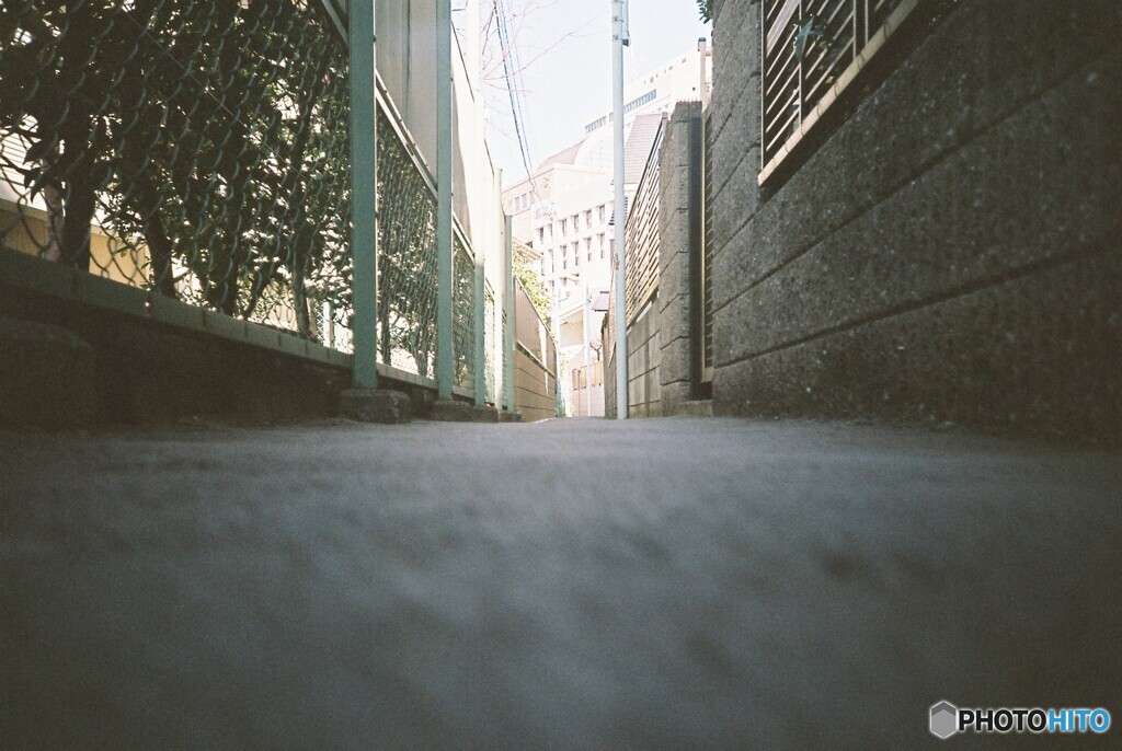 LC-A_20200216 (5)