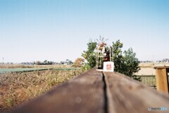 20200119_Canon_F-1_FUJIFILM200C_露出計未使用 (