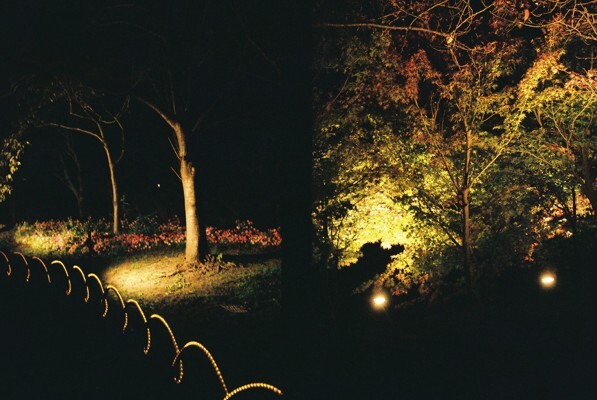 20191116_Olympus Pen EE-3_FUJIFILM200C_ 