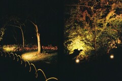 20191116_Olympus Pen EE-3_FUJIFILM200C_ 