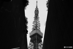 9000D_20200426 (20)
