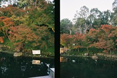 20191116_Olympus Pen EE-3_FUJIFILM200C_ 