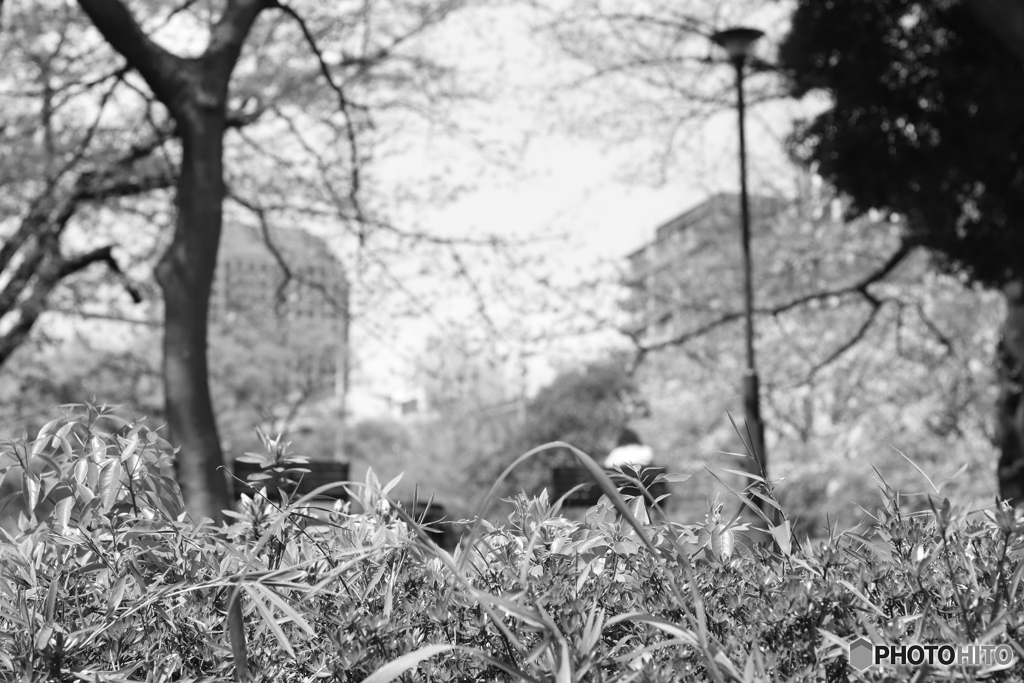 CANON9000D_EF50mm1,8F (4)