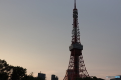 9000D_20200426 (25)