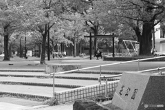 9000D_20200426 (12)