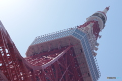 CANON9000D_EF50mm1,8F (18)