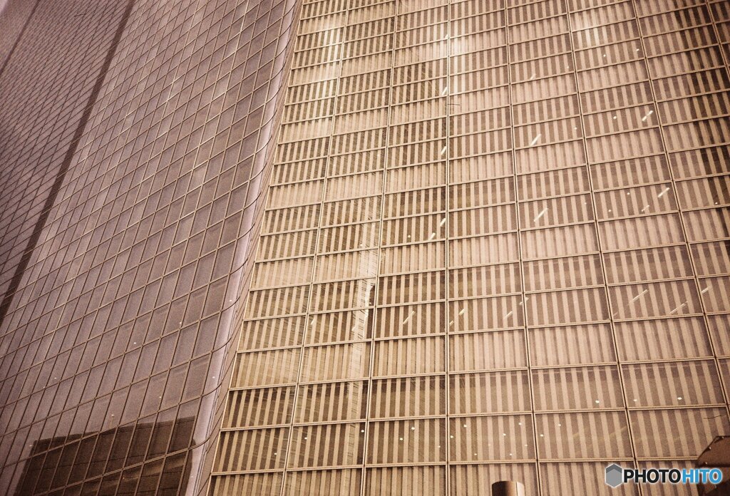 20200320LC-A_metropolis_linedown (6)