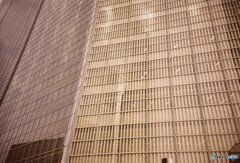 20200320LC-A_metropolis_linedown (6)