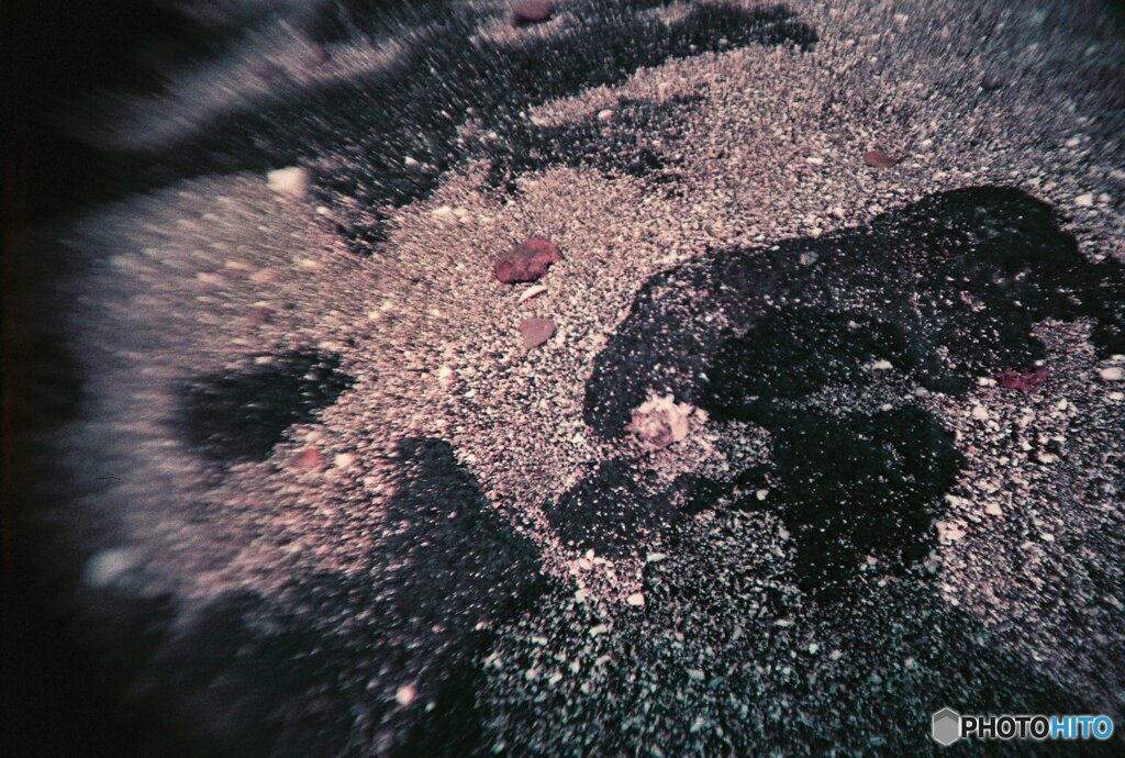 20200407_lomo_La-c+_2019LomochromePurple